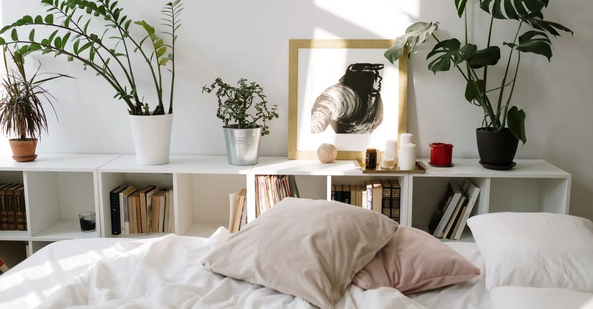 Scène de chambre confortable avec des plantes, des œuvres d'art et des oreillers sur un lit baigné de soleil, parfait pour des concepts de vie paisible.